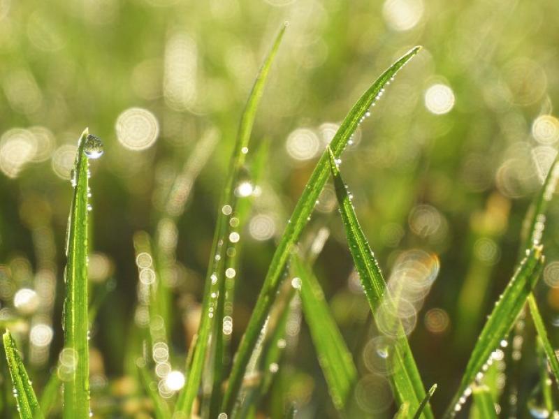 drhohmuth-urologe.de - Studien zu Vitamin D3 drhohmuth-urologe.de - Studien zu Vitamin D3